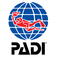 padi kurs